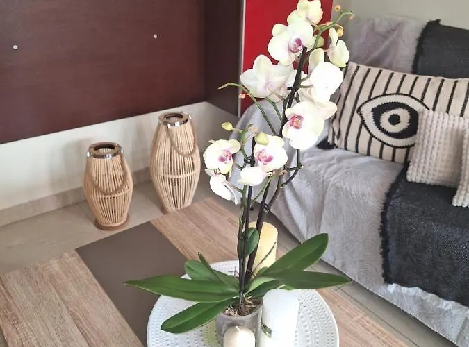 Maria Casa de Férias